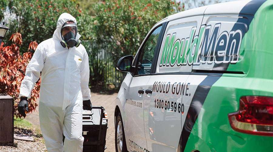 mould removal Sunshine Coast
