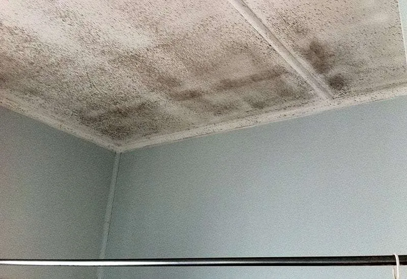 Dehumidification & Structural Drying Services Dehumidification & Structural Drying Services