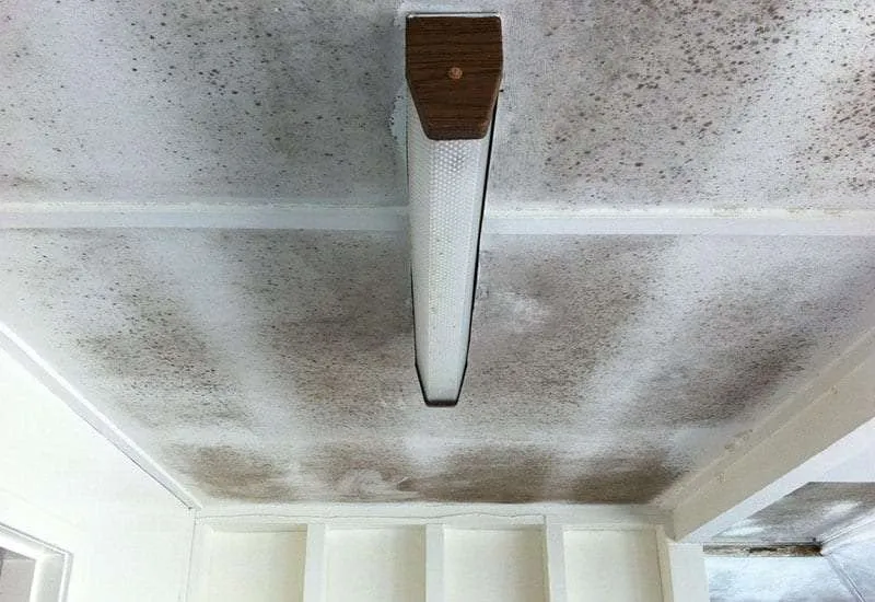 Dehumidification & Structural Drying Services Dehumidification & Structural Drying Services