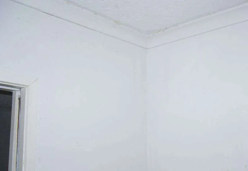 Dehumidification & Structural Drying Services Dehumidification & Structural Drying Services