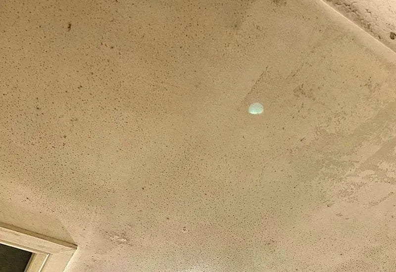 Dehumidification & Structural Drying Services Dehumidification & Structural Drying Services