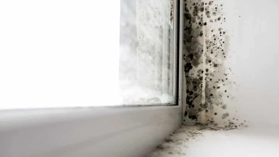 how to clean mould from your bathroom