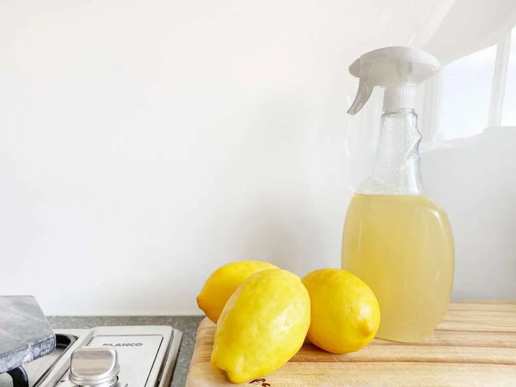 vinegar in spray bottle